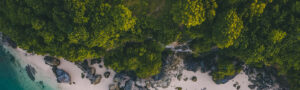 Freelance SEO specialist inhuren | Goldcompass.nl